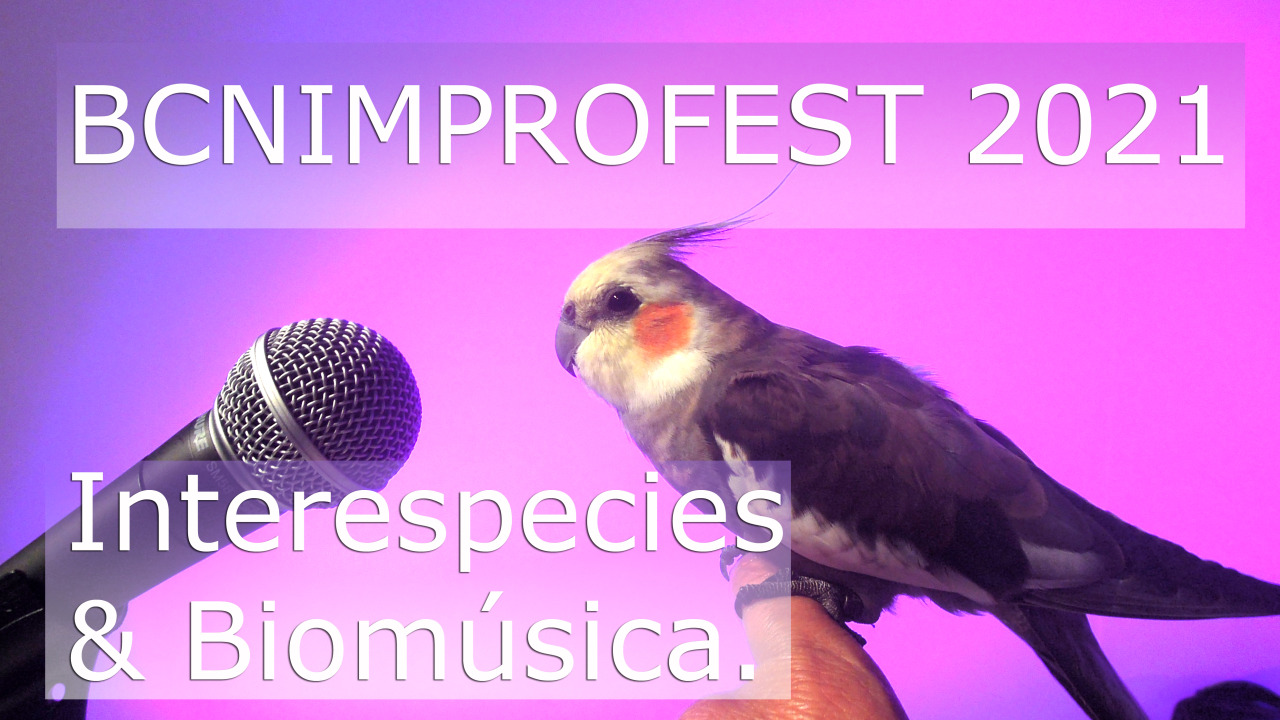 Barcelona Improfest by Gratis in Barcelona