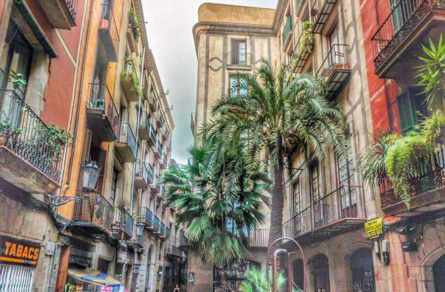 Calle Montcada by Gratis in Barcelona
