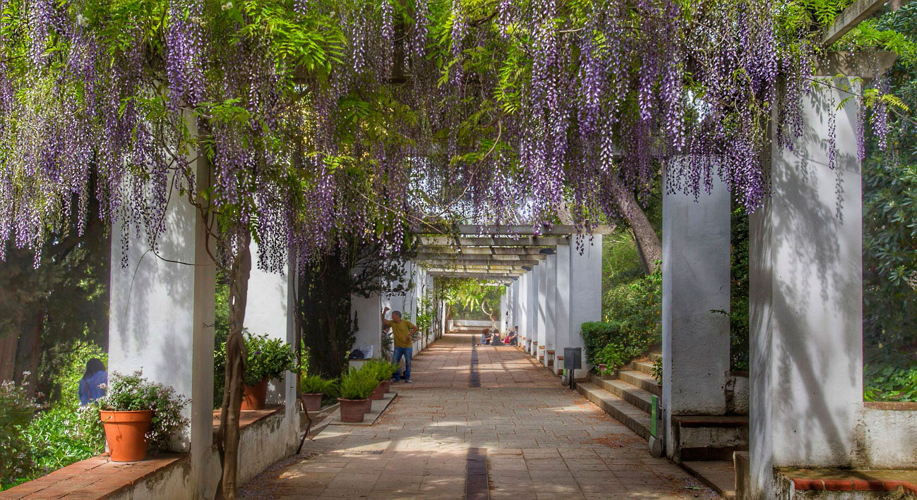 Laribal Garden by Gratis in Barcelona