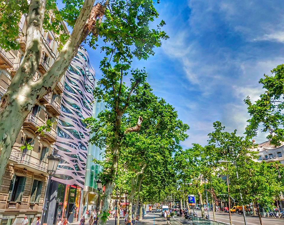 Paseo de Gracia by Gratis in Barcelona