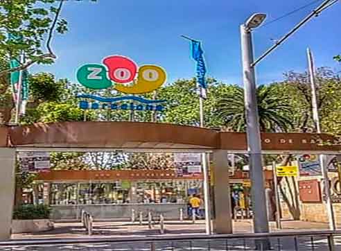 Zoo Barcelona by Gratis in Barcelona